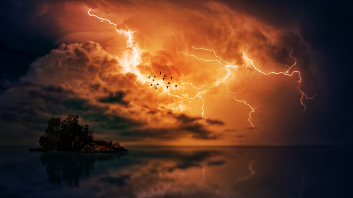 Oiseaux volant dans un orage